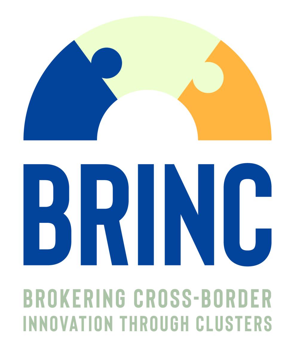 BRINC project logo
